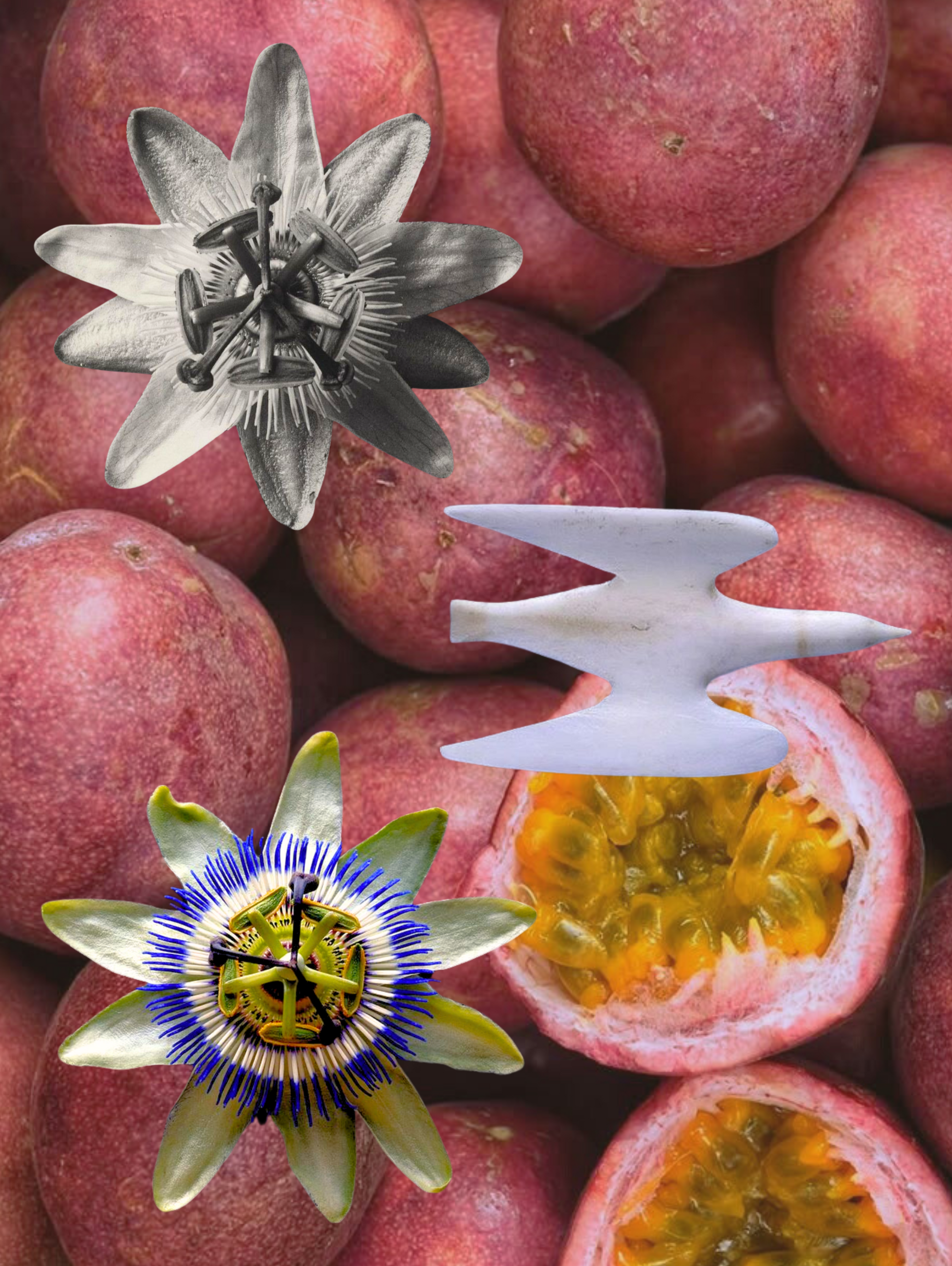 Passion Fruit Micro-Gummies
