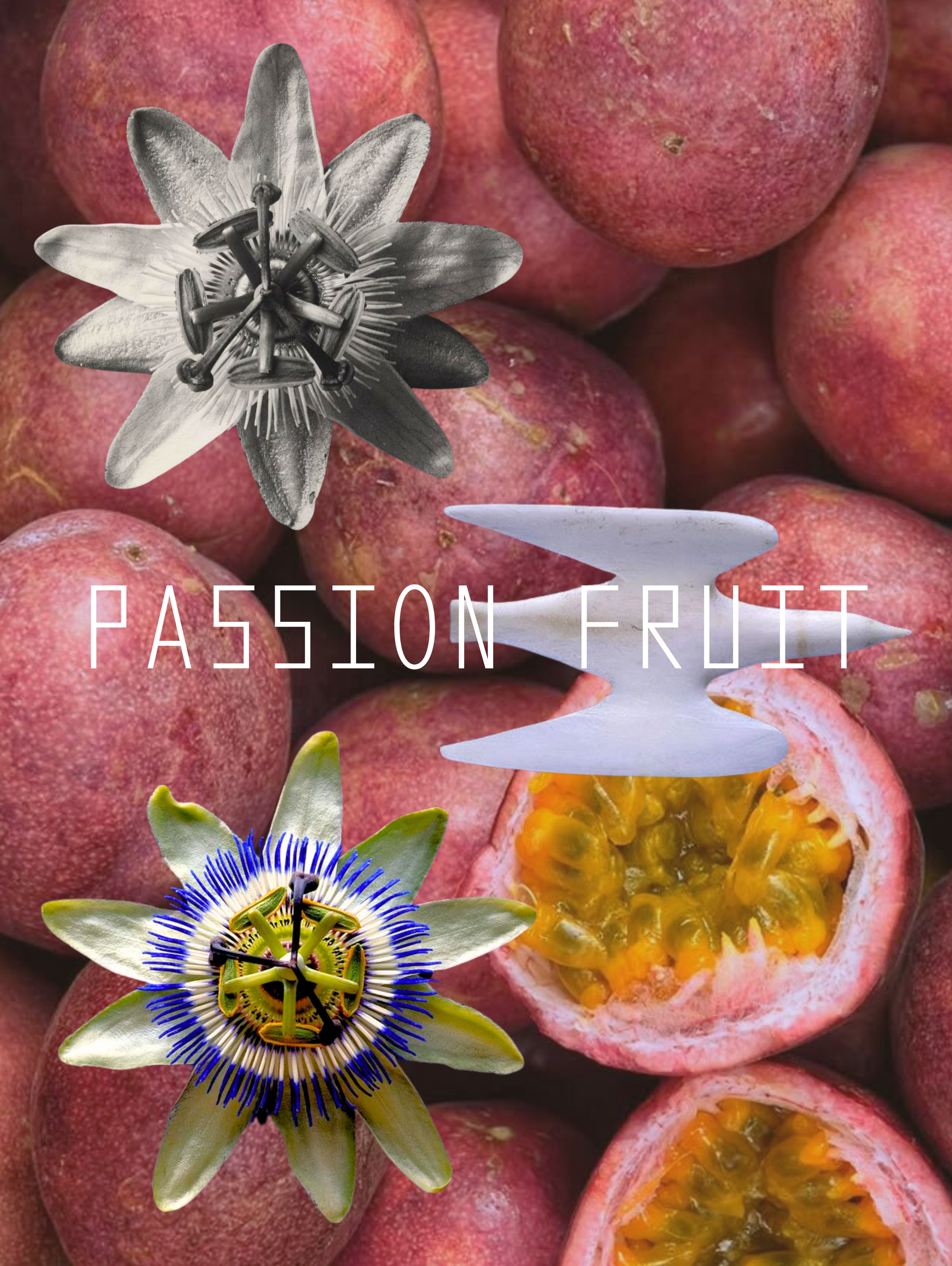 Passion Fruit Micro-Gummies
