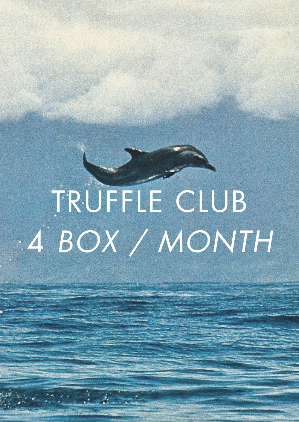 Truffle Club ~ 4 Boxes / Month