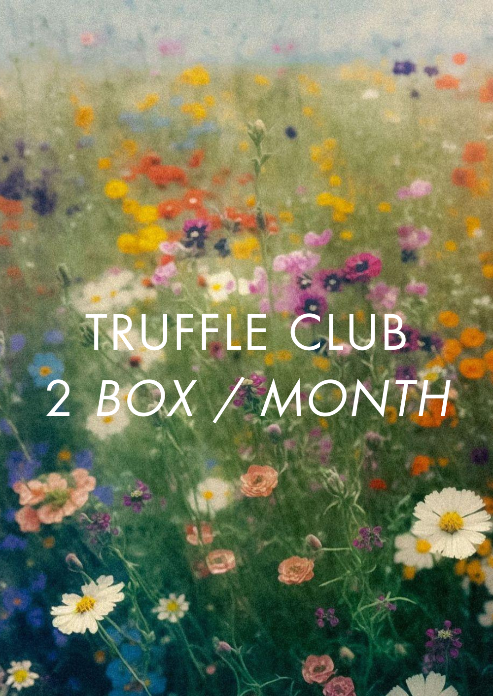 Truffle Club ~ 2 Boxes / Month